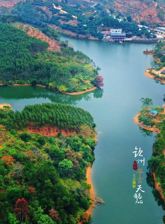 钦州平吉天鹅湖生态园简介；钦州平吉天鹅湖烧烤场电话；钦州户外烧烤好去处！