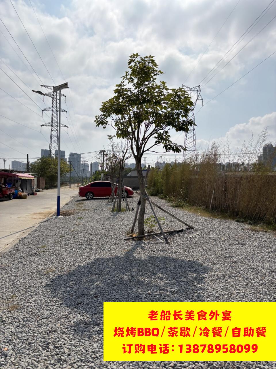 微信图片_20260204185532