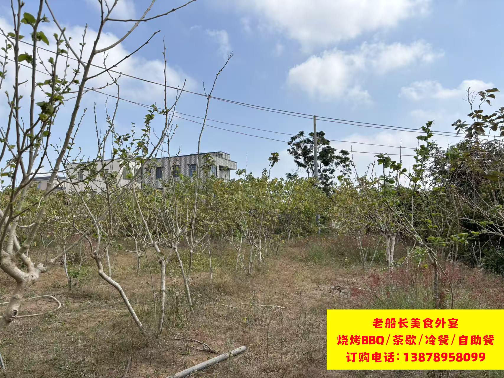 微信图片_20260206173513