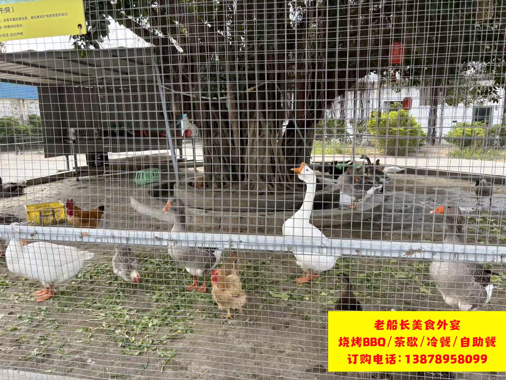 微信图片_20260206173548