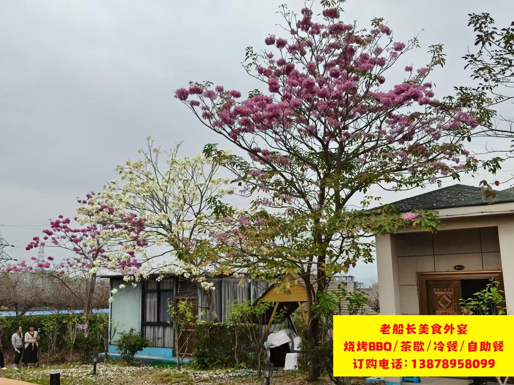 微信图片_20260305143853_206_46