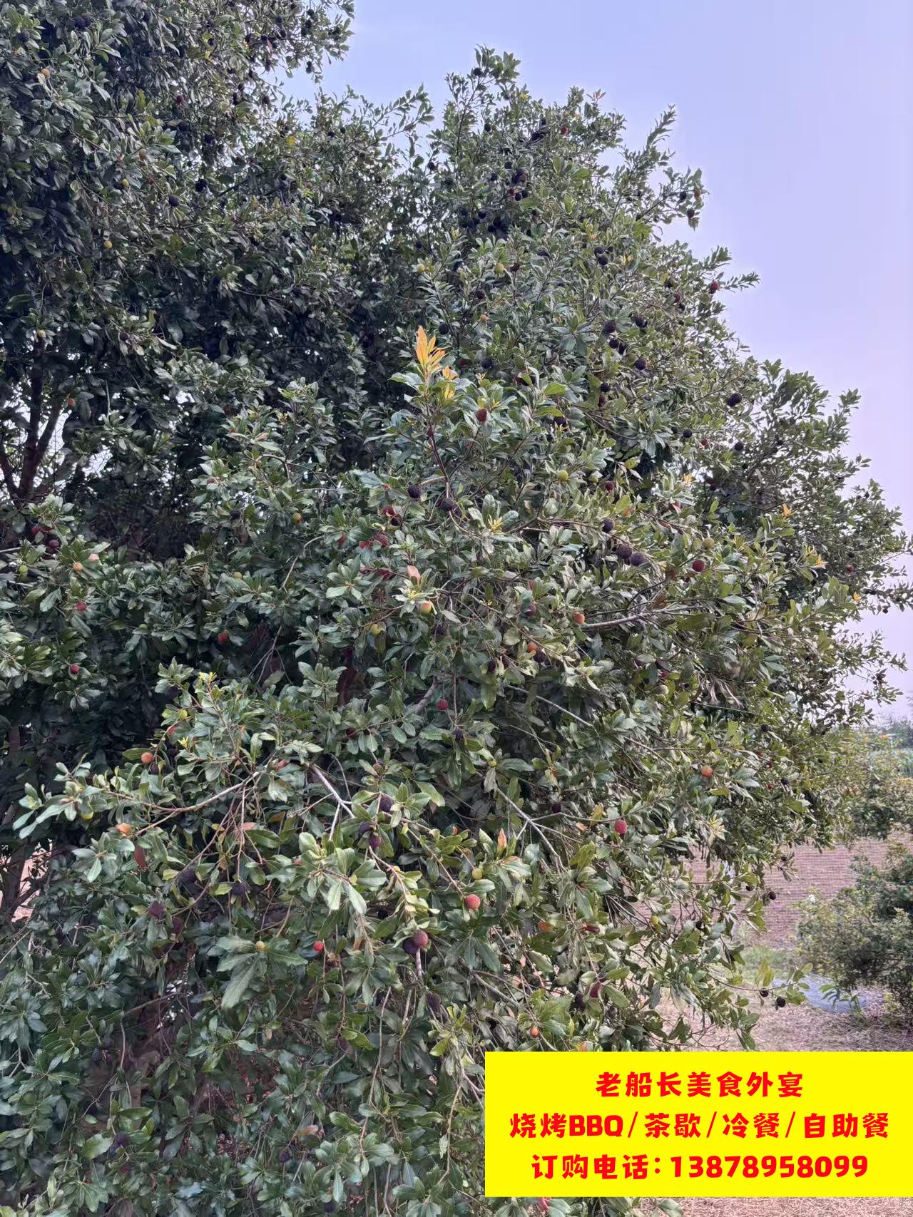 微信图片_20260402102252_425_100