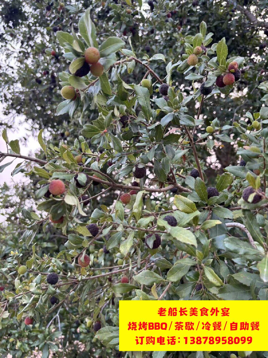 微信图片_20260402102256_427_100